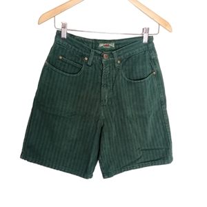 American Eagle Outfitters Vintage Striped Denim Shorts